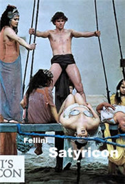 夜来香在线观看免费高清电视剧大全